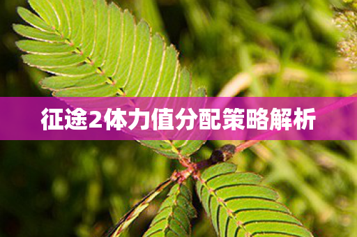 征途2体力值分配策略解析