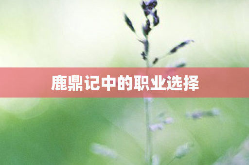 鹿鼎记中的职业选择