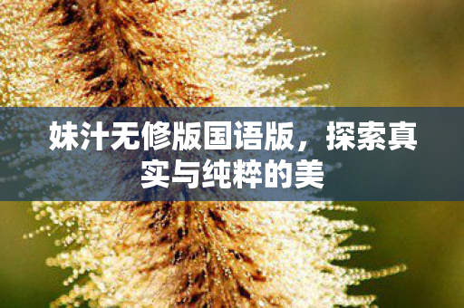 妹汁无修版国语版，探索真实与纯粹的美