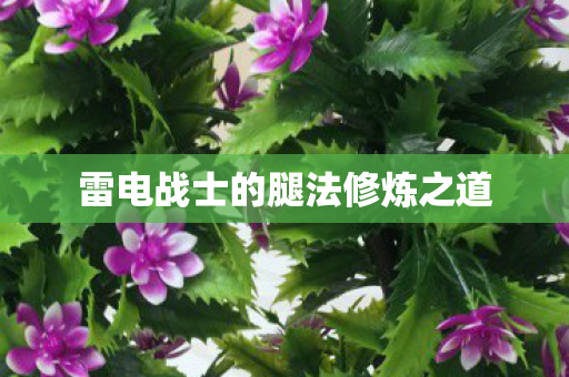 雷电战士的腿法修炼之道 雷电战士的腿法修炼之道