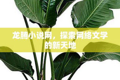 龙腾小说网，探索网络文学的新天地