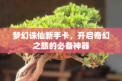 梦幻诛仙新手卡，开启奇幻之旅的必备神器