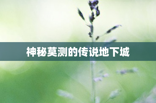 神秘莫测的传说地下城