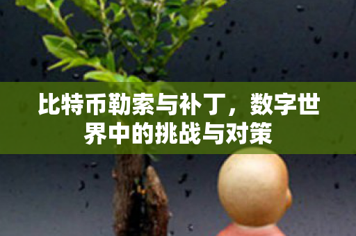 比特币勒索与补丁，数字世界中的挑战与对策