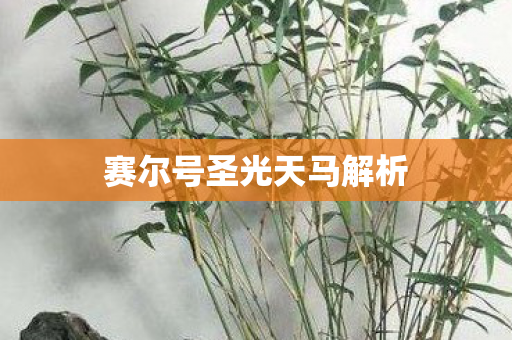 赛尔号圣光天马解析