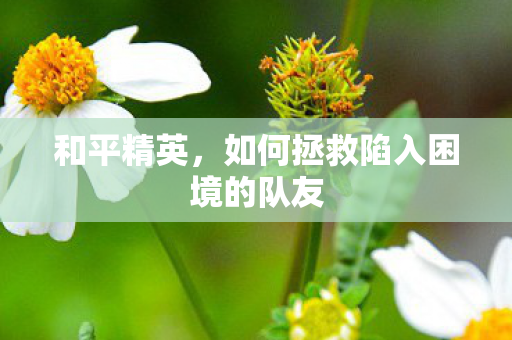 和平精英，如何拯救陷入困境的队友