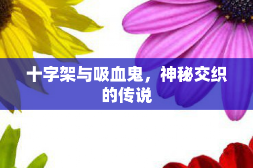 十字架与吸血鬼，神秘交织的传说