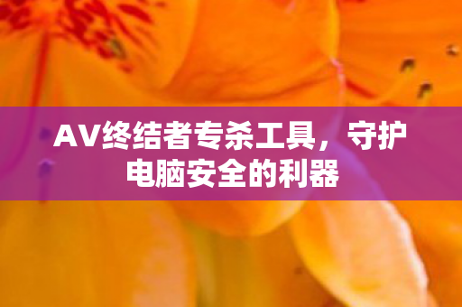 AV终结者专杀工具，守护电脑安全的利器
