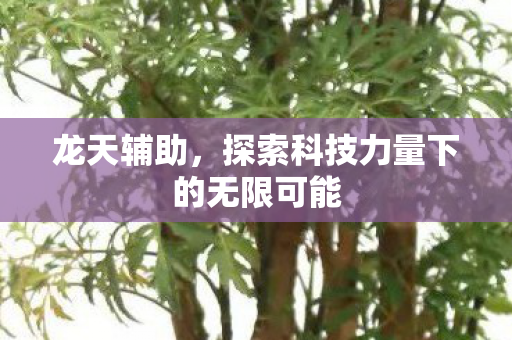 龙天辅助，探索科技力量下的无限可能