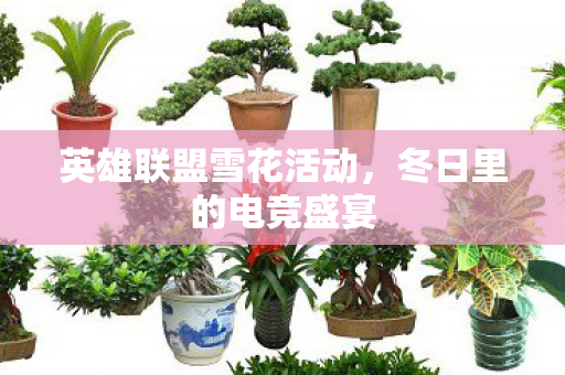 英雄联盟雪花活动，冬日里的电竞盛宴