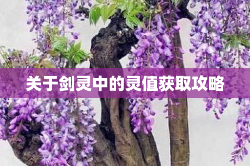 关于剑灵中的灵值获取攻略