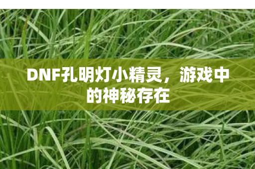 DNF孔明灯小精灵，游戏中的神秘存在