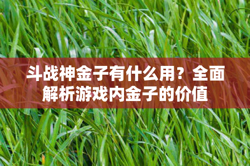 斗战神金子有什么用？全面解析游戏内金子的价值