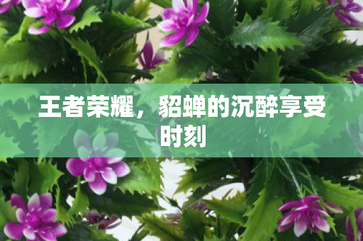 王者荣耀，貂蝉的沉醉享受时刻