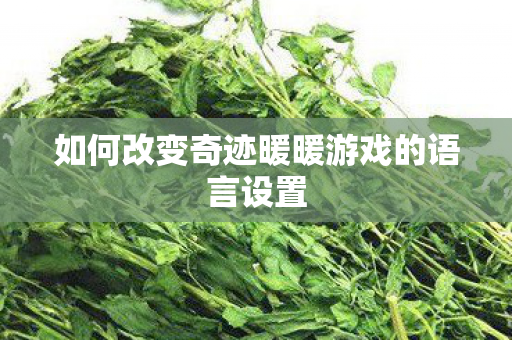 如何改变奇迹暖暖游戏的语言设置