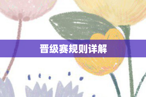 晋级赛规则详解