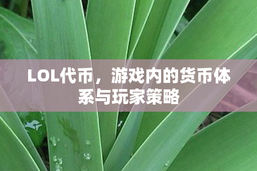 LOL代币，游戏内的货币体系与玩家策略
