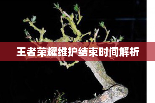 王者荣耀维护结束时间解析