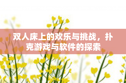 双人床上的欢乐与挑战，扑克游戏与软件的探索