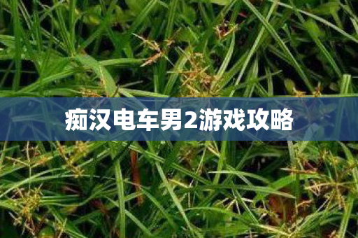 痴汉电车男2游戏攻略 痴汉电车男2游戏攻略