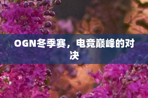 OGN冬季赛，电竞巅峰的对决