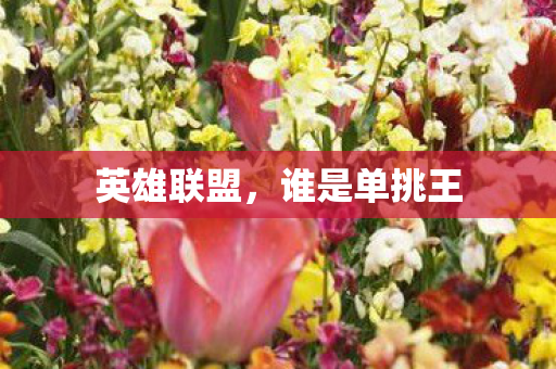 英雄联盟，谁是单挑王