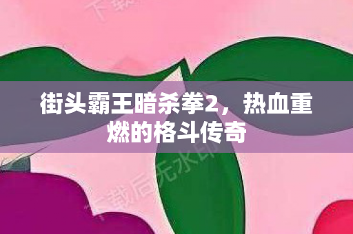 街头霸王暗杀拳2，热血重燃的格斗传奇