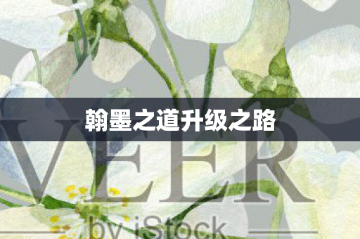 翰墨之道升级之路