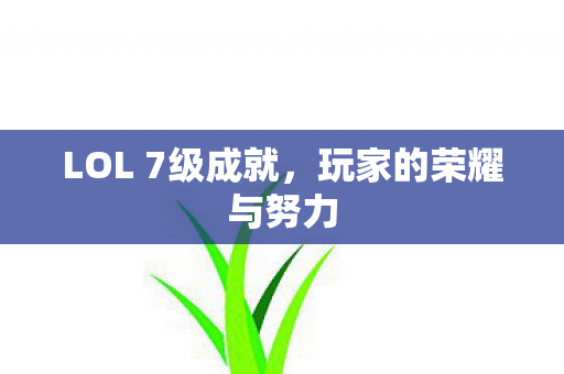 LOL 7级成就，玩家的荣耀与努力