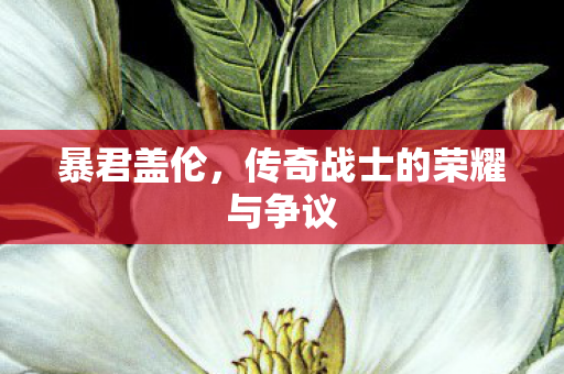 暴君盖伦,传奇战士的荣耀与争议