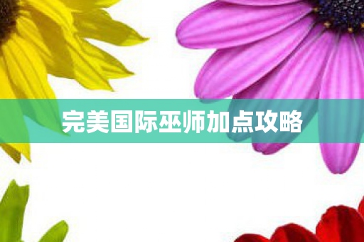 完美国际巫师加点攻略