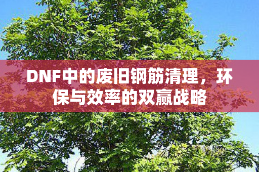 DNF中的废旧钢筋清理,环保与效率的双赢战略