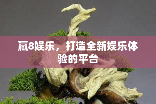 赢8娱乐，打造全新娱乐体验的平台