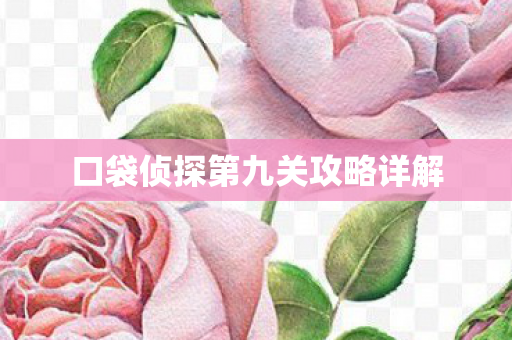 口袋侦探第九关攻略详解