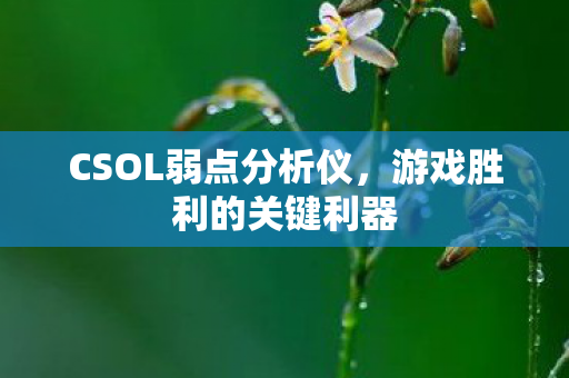 CSOL弱点分析仪，游戏胜利的关键利器