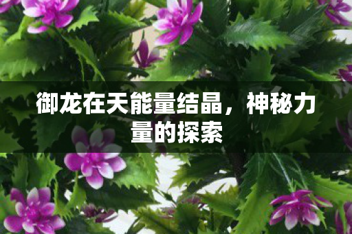 御龙在天能量结晶，神秘力量的探索