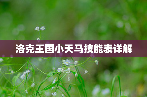 洛克王国小天马技能表详解