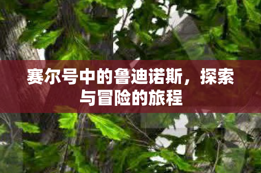 赛尔号中的鲁迪诺斯，探索与冒险的旅程