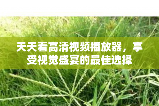 天天看高清视频播放器，享受视觉盛宴的最佳选择
