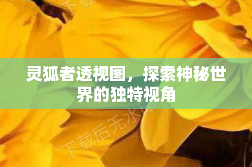 灵狐者透视图，探索神秘世界的独特视角