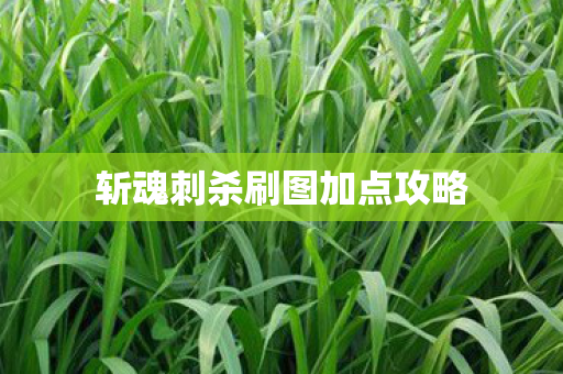 斩魂刺杀刷图加点攻略