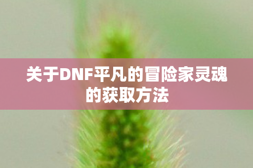 关于DNF平凡的冒险家灵魂的获取方法 关于DNF平凡的冒险家灵魂的获取方法