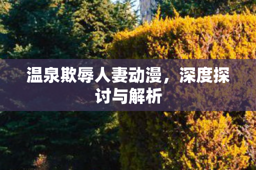 温泉欺辱人妻动漫，深度探讨与解析
