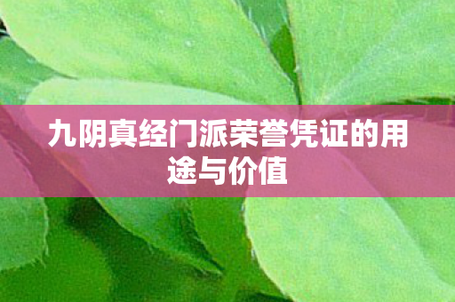 九阴真经门派荣誉凭证的用途与价值