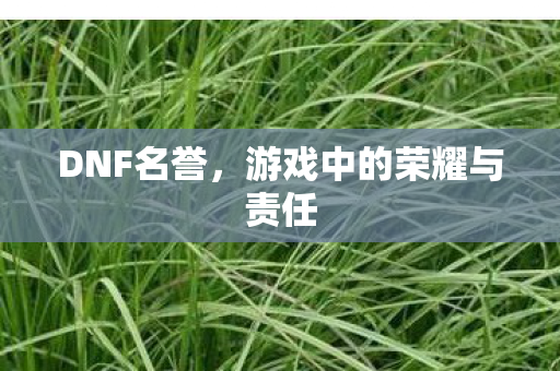 DNF名誉，游戏中的荣耀与责任