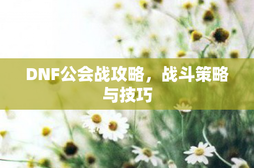 DNF公会战攻略，战斗策略与技巧