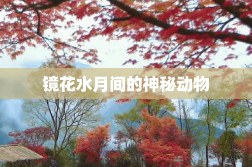 镜花水月间的神秘动物