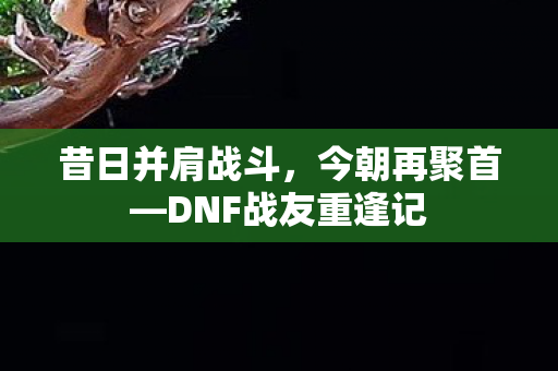 昔日并肩战斗，今朝再聚首—DNF战友重逢记