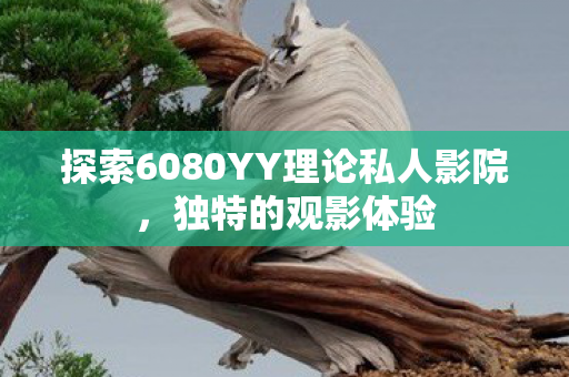 探索6080YY理论私人影院，独特的观影体验