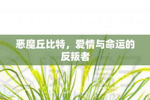 恶魔丘比特,爱情与命运的反叛者 恶魔丘比特,爱情与命运的反叛者